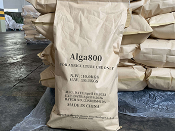 Alga800 product packaging
