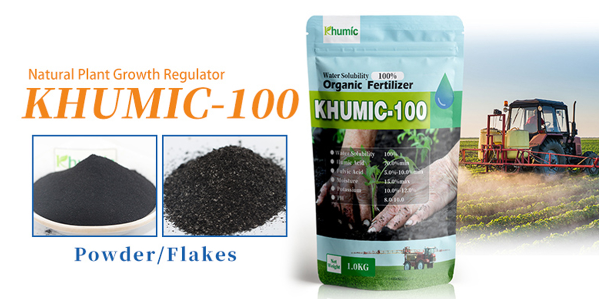 Benefits of Khumic-100