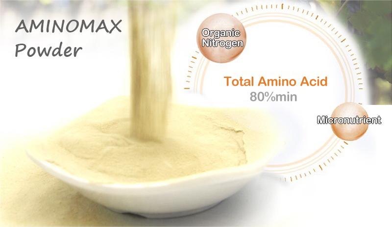 What is Aminomax