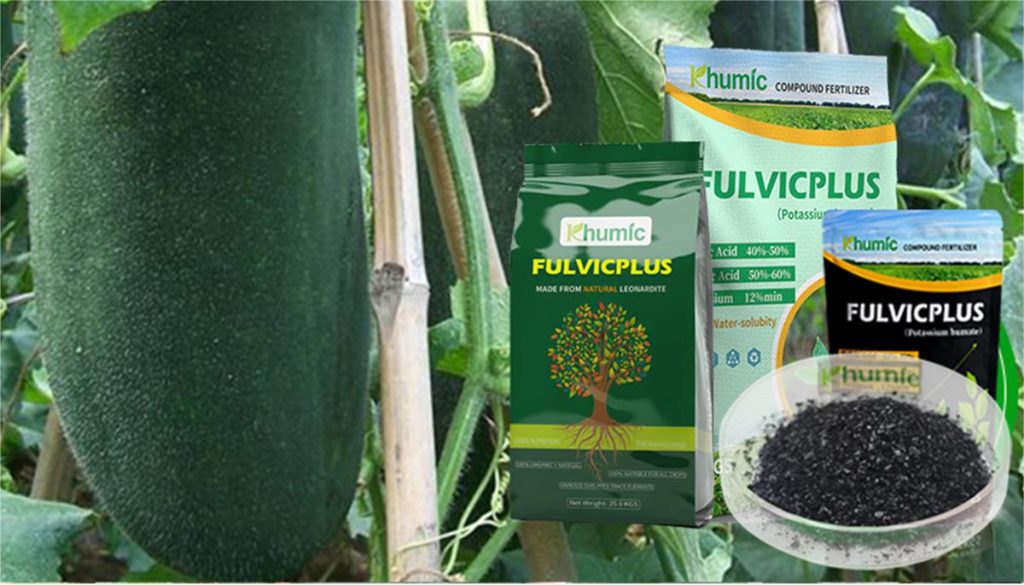 What is FulvicPlus