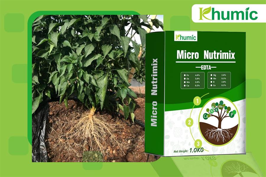 What is MICRO NUTRIMIX