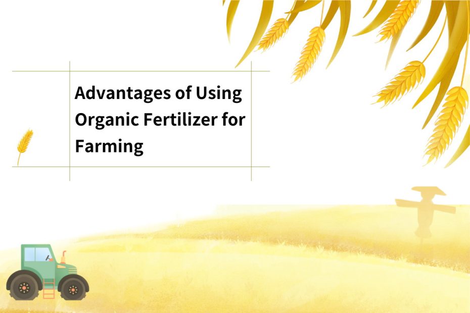 Advantages of Using Organic Fertilizer for Farming
