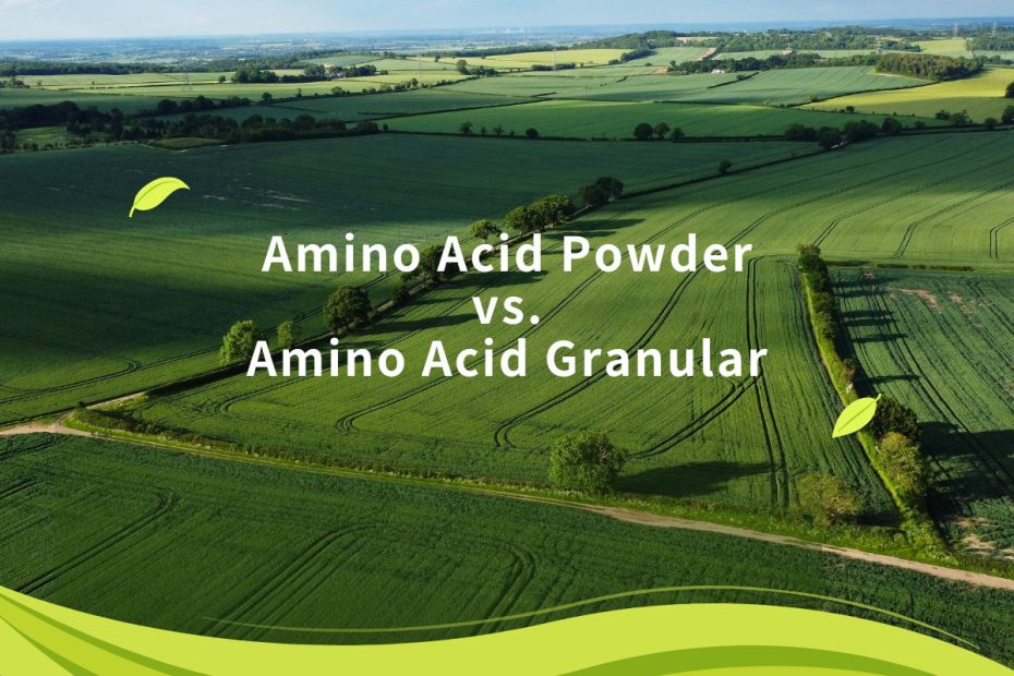 Amino Acid Powder vs. Amino Acid Granular