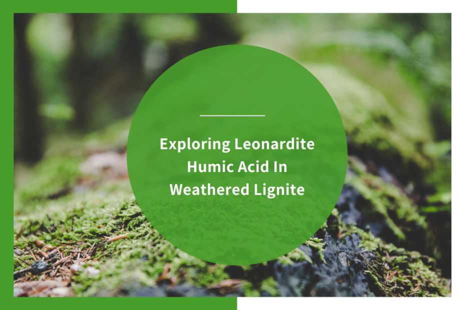 Exploring Leonardite Humic Acid In Weathered Lignite