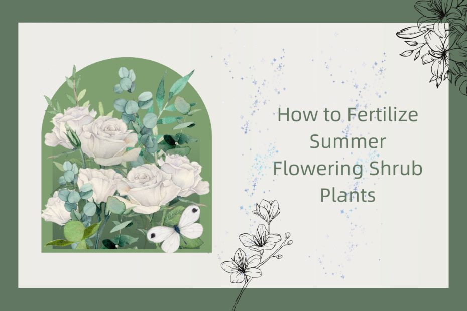 How to Fertilize Summer Flowering Shrub Plants