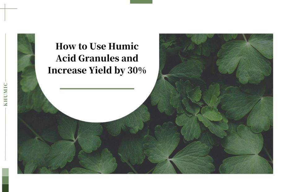 How to Use Humic Acid Granules and Increase Yield by 30%