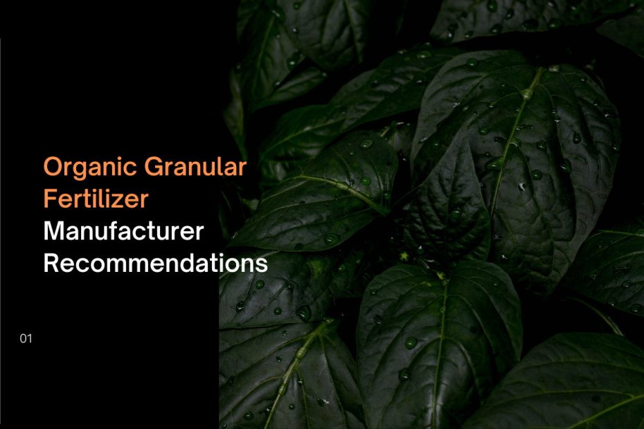 Organic Granular Fertilizer Manufacturer Recommendations