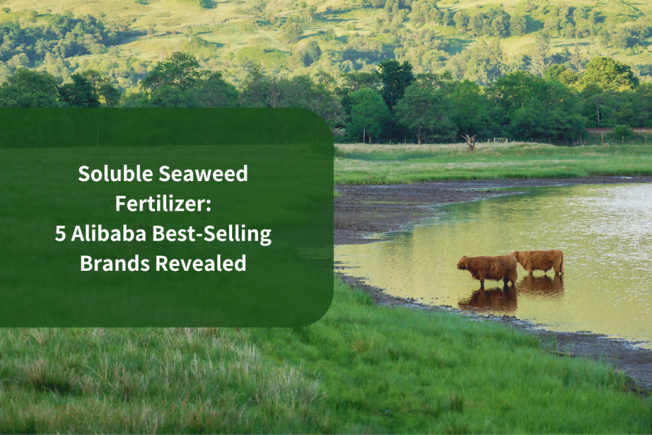 Soluble Seaweed Fertilizer: 5 Amazon Best-Selling Brands Revealed