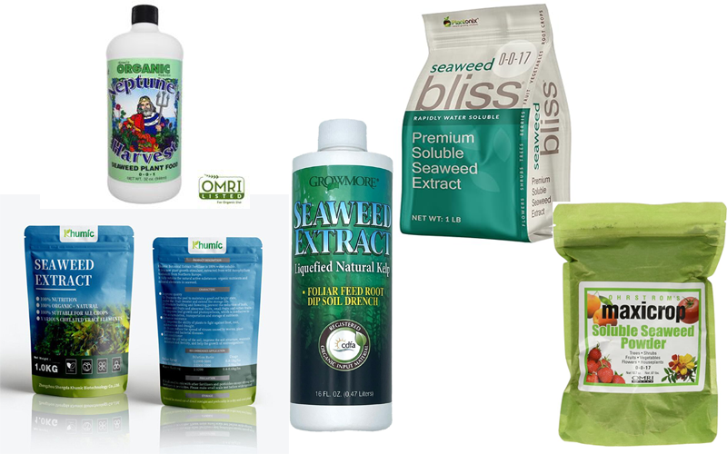 The 5 Best-Selling Soluble Seaweed Fertilizer Brands on Amazon