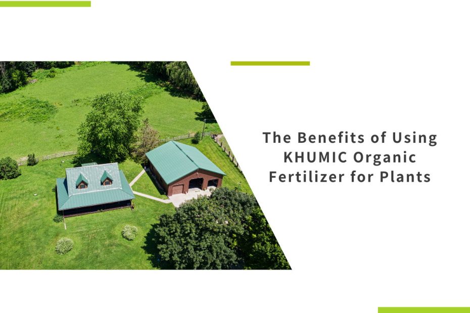 The Benefits of Using KHUMIC Organic Fertilizer for Plants