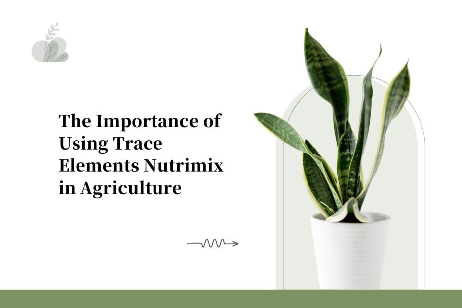 The Importance of Using Trace Elements Nutrimix in Agriculture