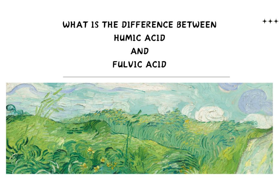 What is the Difference Between Humic Acid and Fulvic Acid