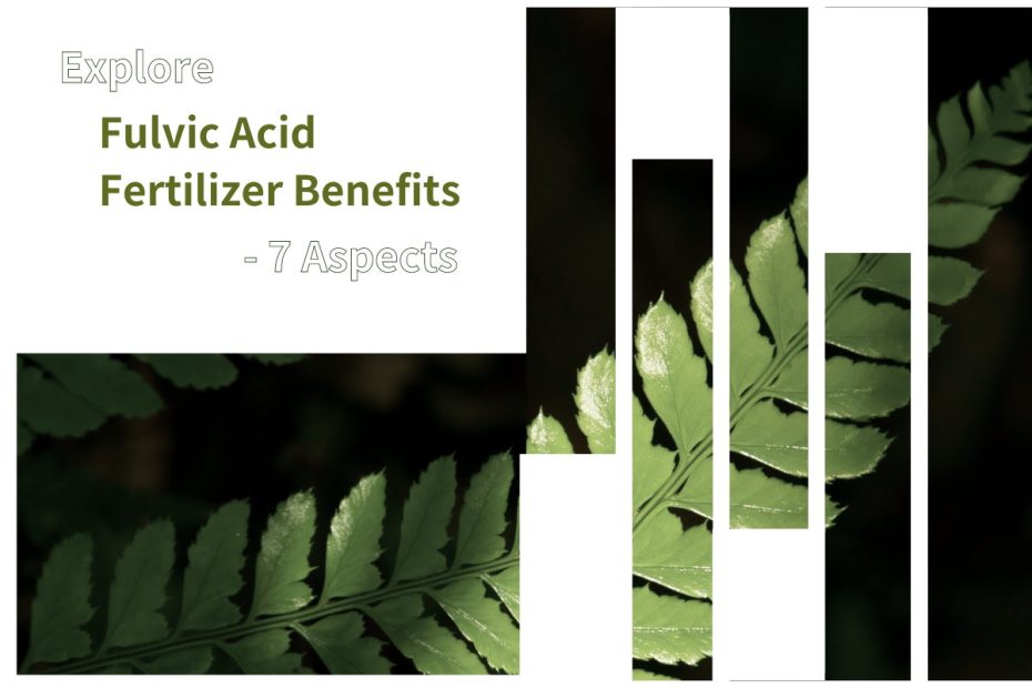Explore Fulvic Acid Fertilizer Benefits