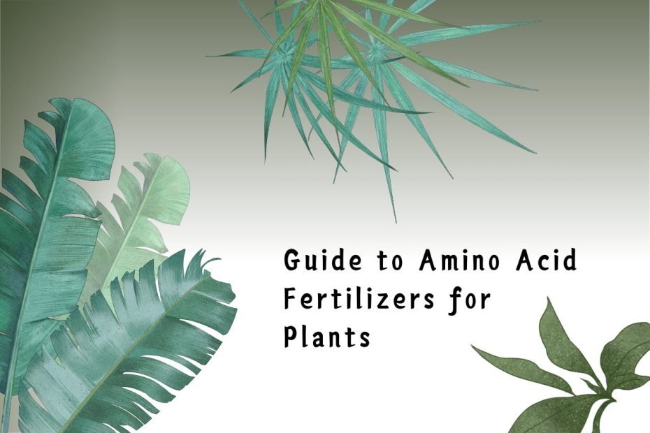 Guide to Amino Acid Fertilizers for Plants