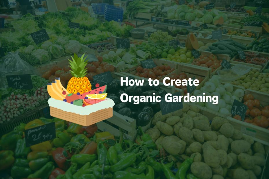 How to Create Organic Gardening