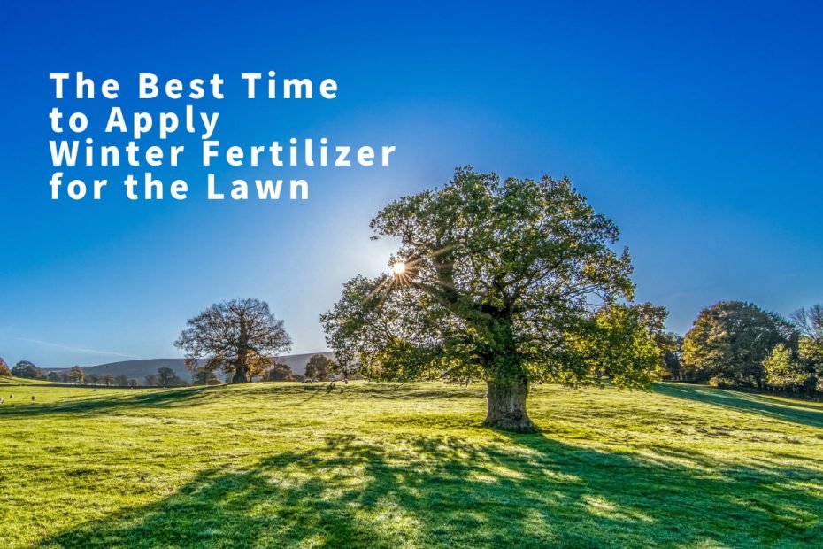 The Best Time to Apply Winter Fertilizer for the Lawn
