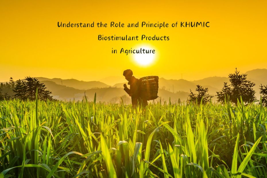 Understand the Role and Principle of KHUMIC Biostimulant Products in Agriculture