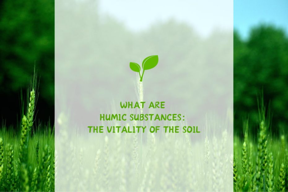 What are Humic Substances The Vitality of the Soil