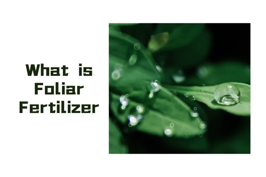 What is Foliar Fertilizer