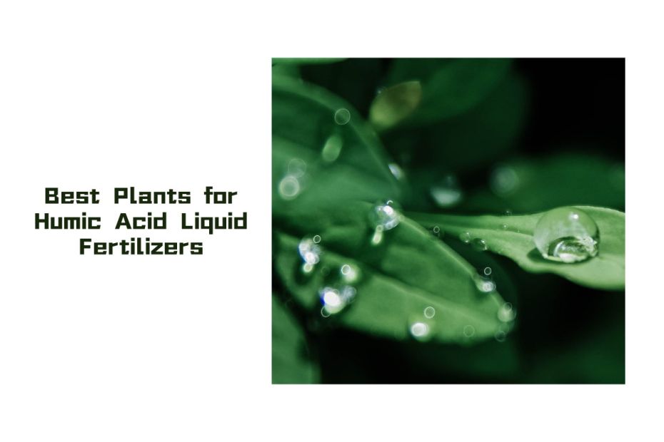 Best Plants for Humic Acid Liquid Fertilizers