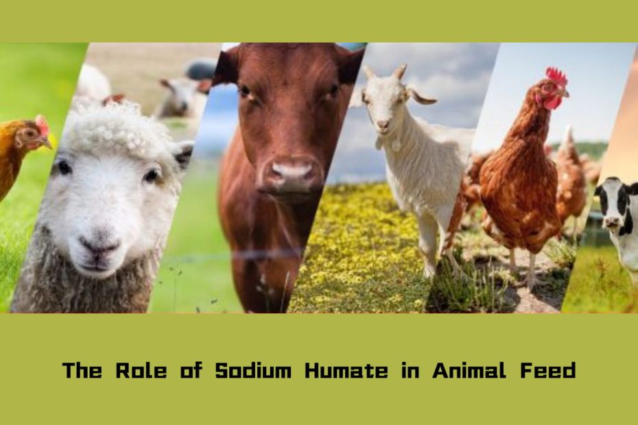The Role of Sodium Humate in Animal Feed