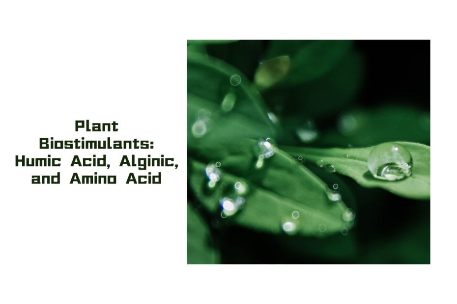 What are Plant Biostimulants